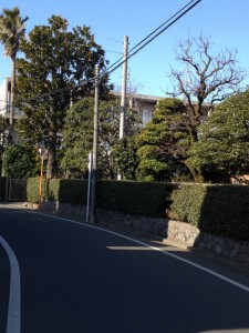 変則十字路を直進すると右手に高橋自宅→その先、「のぞみ幼稚園」手前に東和ドミトリーＡ棟出現です。