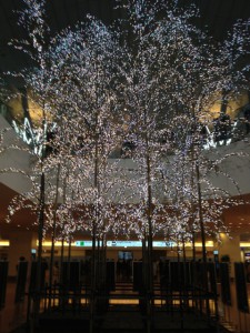 東京羽田国際線