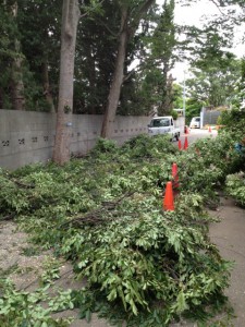 手際よくまとめられていく枝々