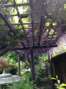 まるで補講のご褒美だ！ と喜んでくれました。旬のものを愛でられる事が出来て嬉しかったです。