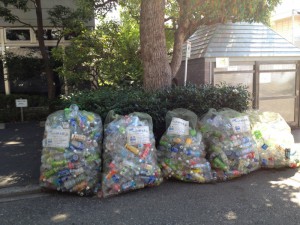 今朝は回収日。毎月２回の回収です。