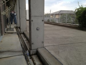 東側テラス、後方は高橋自宅