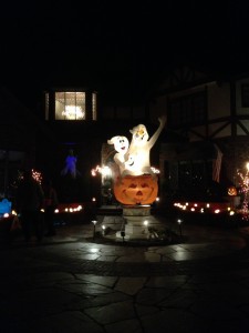 本場からの画像