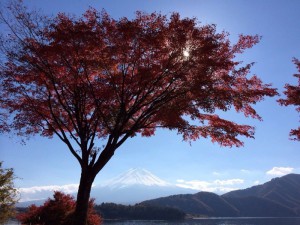河口湖の紅葉祭り　by Yuko