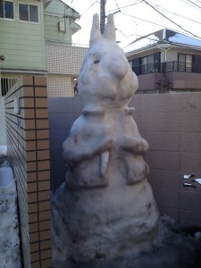雪ウサギ