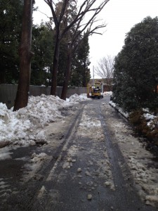 雪かき名人：東和ﾗﾝﾄﾞﾃｯｸの重機