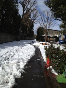 雪かき１