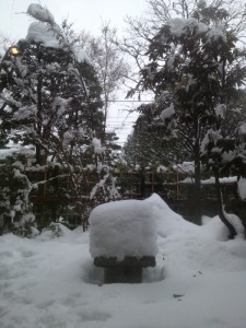 再びの大雪　２/15