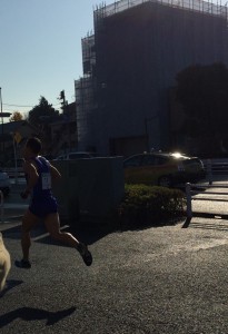 画像悪すぎですが、ぶっちぎりで速すぎて間に合わず・・