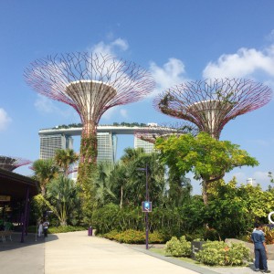 植物園からMarinaBaySands