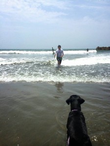 ｻｰﾌｨﾝラヴィ