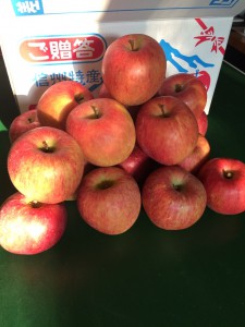 Satokaさんの信州便り