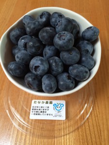 %e9%95%b7%e9%87%8eimg_6583