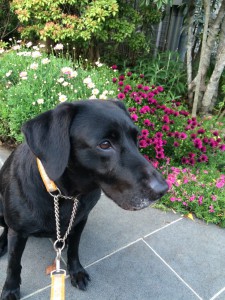 %e8%87%aa%e5%ae%85%e5%89%8d