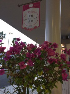 %e3%83%96%e3%83%bc%e3%82%b2%e3%83%b3