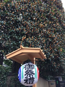 %e7%a5%ad%e3%82%8aimg_7392