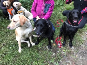 %ef%bc%92%e3%82%89%e3%83%b4%e3%81%83%e6%a1%90%e7%94%9f