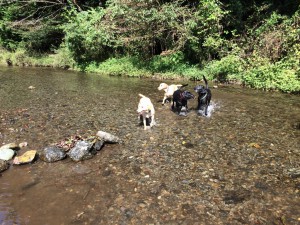 %e3%82%89%e3%83%b4%e3%81%83%e6%a1%90%e7%94%9f%ef%bc%93