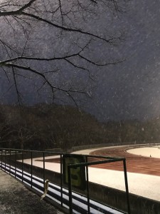 %e6%b3%95%e6%94%bf%e9%9b%aa