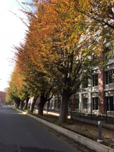 %e6%9d%8f%e6%9e%97%e7%a7%8b