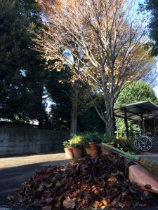 %e3%81%91%e3%82%84%e3%81%8d