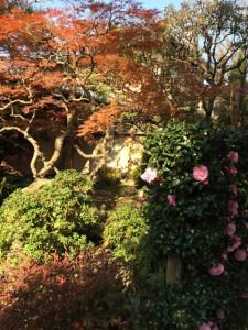 %e7%a7%8b%e5%ba%ad%e5%9c%92