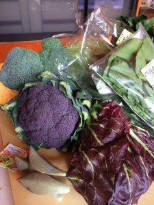 %e5%9c%b0%e5%85%83%e9%87%8e%e8%8f%9c