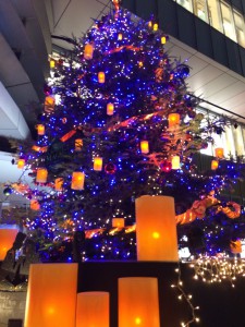 %e3%83%92%e3%82%ab%e3%83%aa%e3%82%a8img_7695