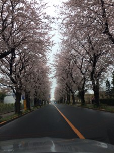 ユニクロ前IMG_8447