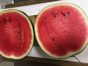 すいかIMG_0795