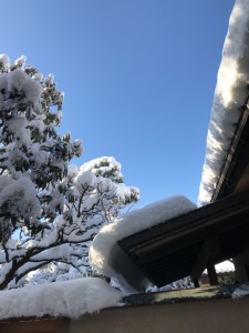 雪屋根