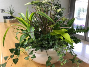 あれんじIMG_2130