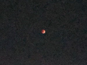 皆既月食IMG_2062