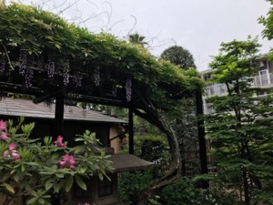 ふじだなとAIMG_2605