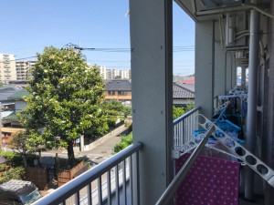 タイサンボクIMG_2876