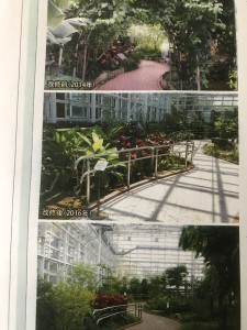 ｒａｎｎｄｏIMG_3015