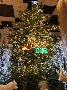 にこ多摩IMG_4051